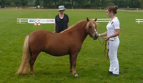 uniebelle-du-sanon